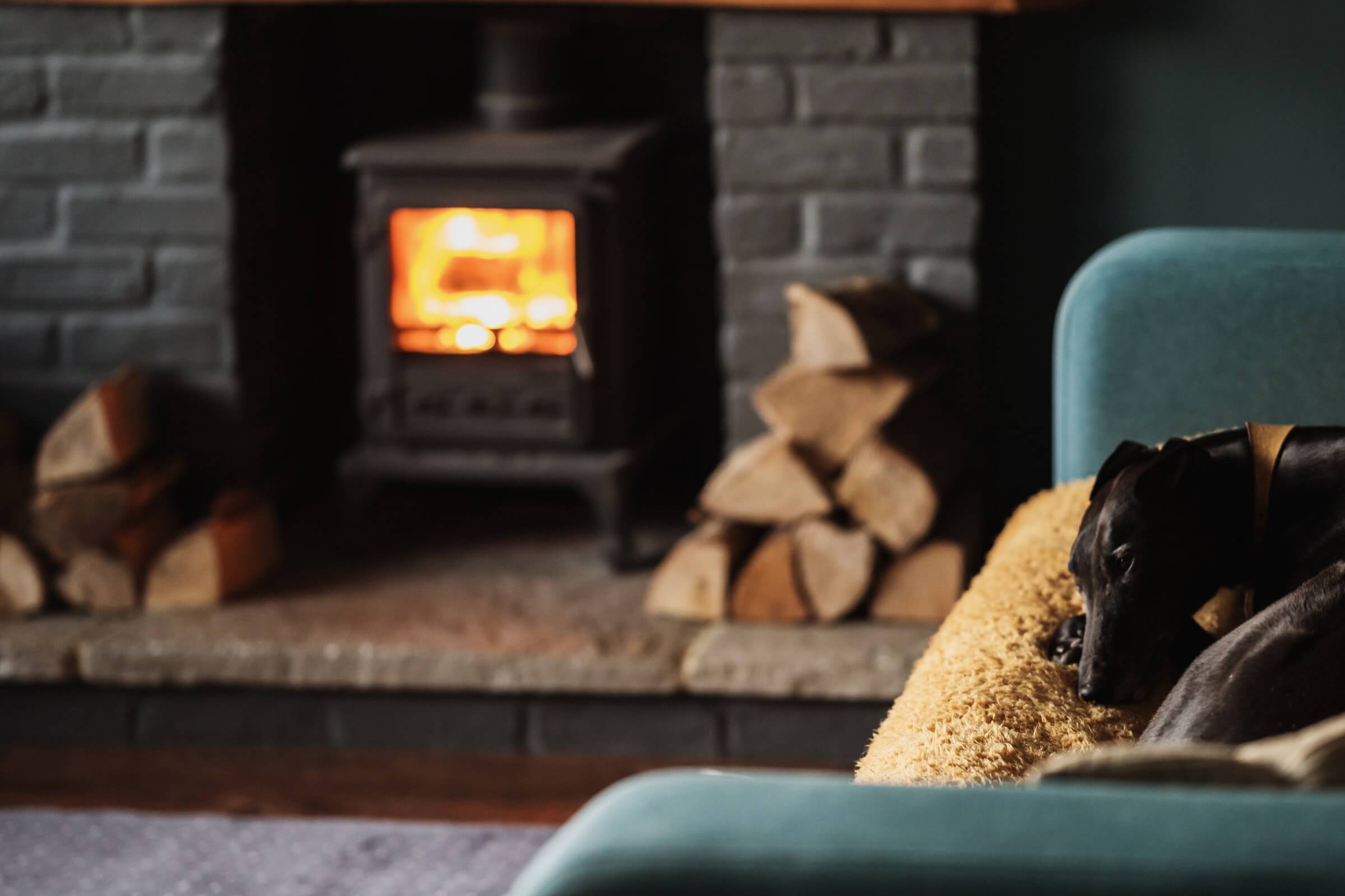 Fireplace with dog sleeping